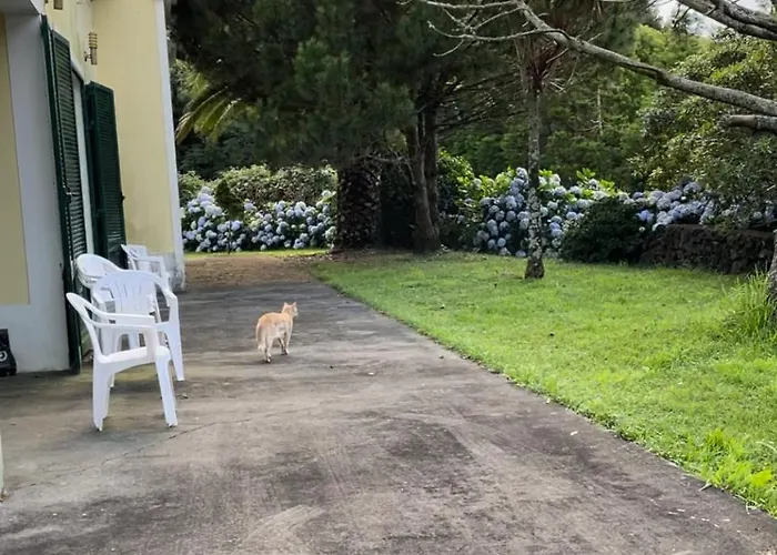 Casa Dos Platanos 大里贝拉